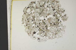 Plane Polarized, S12065