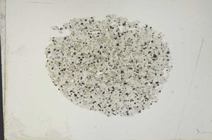 Plane Polarized, S12071