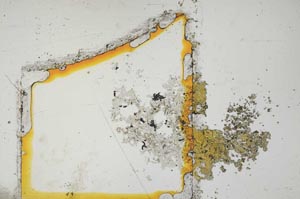 Plane Polarized, S12073