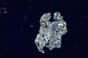 Cross Polarized, S12075