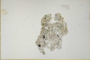 Plane Polarized, S12075