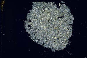 Cross Polarized, S12076