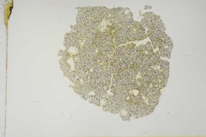 Plane Polarized, S12076