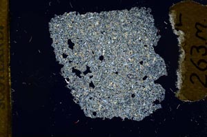 Cross Polarized, S12078