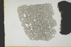 Plane Polarized, S12078