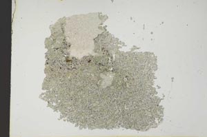 Plane Polarized, S12079