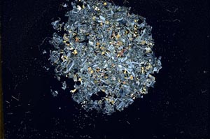 Cross Polarized, S12080