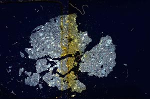 Cross Polarized, S12081