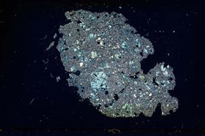 Cross Polarized, S12081/A