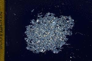 Cross Polarized, S12083