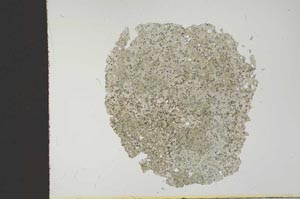 Plane Polarized, S12084