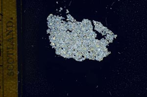 Cross Polarized, S12085