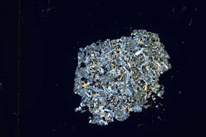 Cross Polarized, S12086