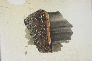 Plane Polarized, S12087