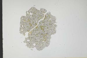 Plane Polarized, S12095