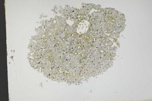 Plane Polarized, S12096