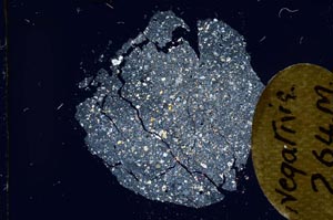 Cross Polarized, S12100