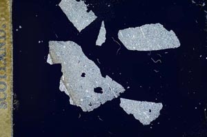 Cross Polarized, S12105