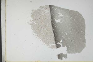 Plane Polarized, S12105/A