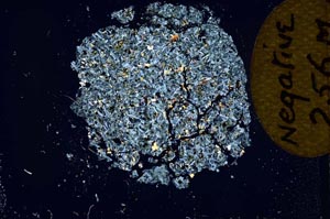 Cross Polarized, S12113