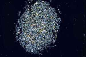 Cross Polarized, S12114