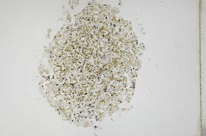 Plane Polarized, S12114