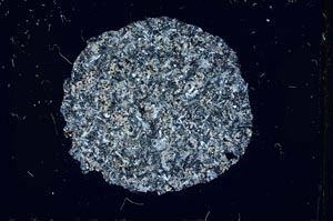 Cross Polarized, S12116