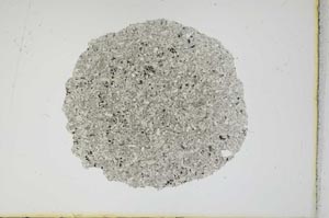 Plane Polarized, S12116