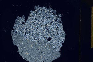 Cross Polarized, S12117