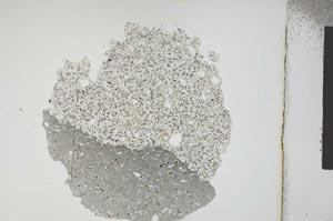 Plane Polarized, S12117