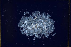 Cross Polarized, S12118