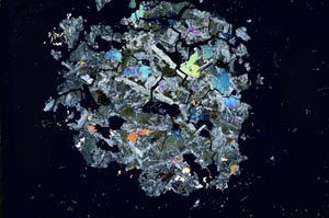 Cross Polarized, S12119