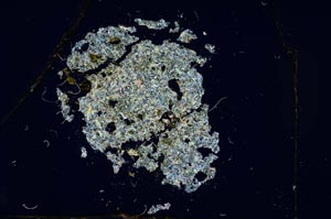 Cross Polarized, S12120