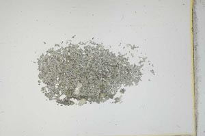 Plane Polarized, S12125