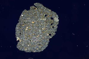 Cross Polarized, S12126/A