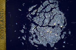 Cross Polarized, S12127