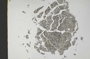 Plane Polarized, S12127