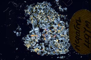 Cross Polarized, S12130