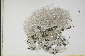 Plane Polarized, S12131