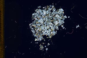 Cross Polarized, S12132