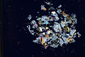 Cross Polarized, S12133