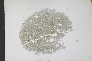Plane Polarized, S12135