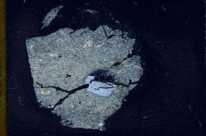 Cross Polarized, S12137