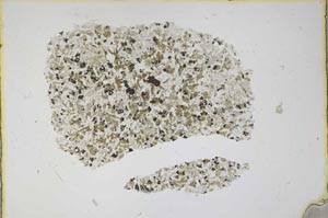 Plane Polarized, S12142