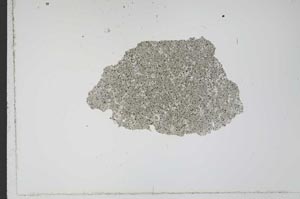 Plane Polarized, S12144