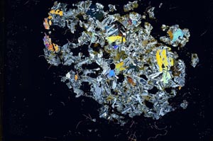 Cross Polarized, S12148