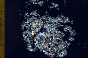 Cross Polarized, S12149