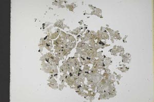 Plane Polarized, S12149