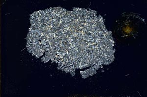 Cross Polarized, S12150