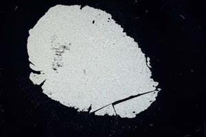 Cross Polarized, S12151